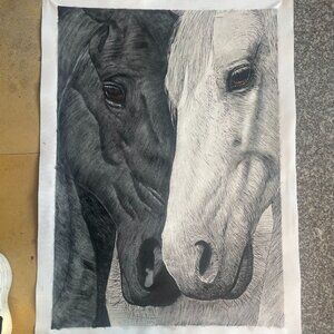 Tender Gaze of Black and White Horses